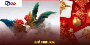 Đá gà online S666