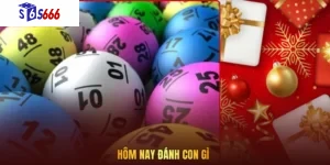 Hôm nay đánh con gì