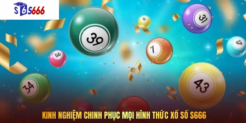 Tham gia vào nhiều hình thức cược khác nhau để thắng nhanh