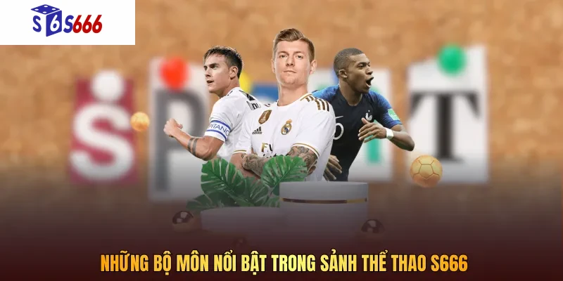 Những bộ môn nổi bật trong sảnh thể thao S666