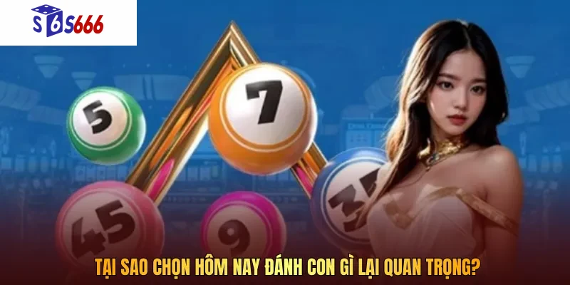 Tại sao chọn hôm nay đánh con gì lại quan trọng?