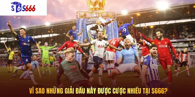 Vì sao những giải đấu này được cược nhiều tại S666?