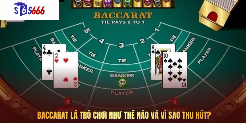 Baccarat là trò chơi như thế nào và vì sao thu hút?