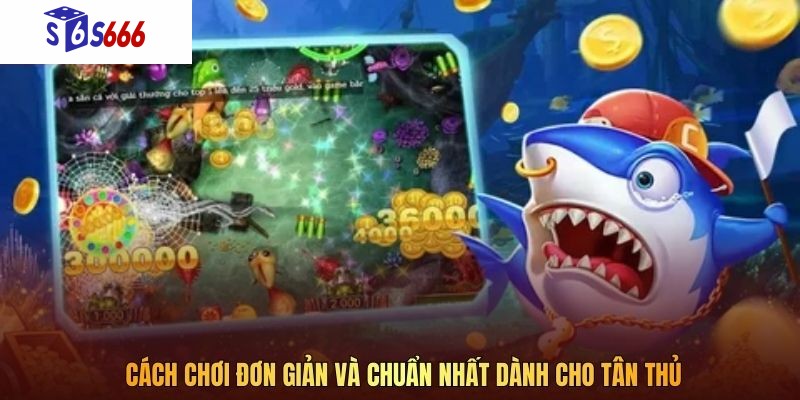 Cách chơi đơn giản và chuẩn nhất dành cho tân thủ