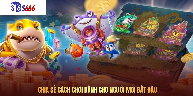 Chia sẻ cách chơi dành cho người mới bắt đầu
