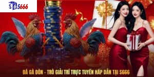 Đá Gà Đòn – Trò Giải Trí Trực Tuyến Hấp Dẫn Tại S666