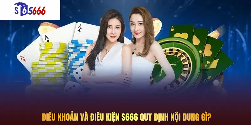 Nội dung quy định về điều khoản và điều kiện tại S666