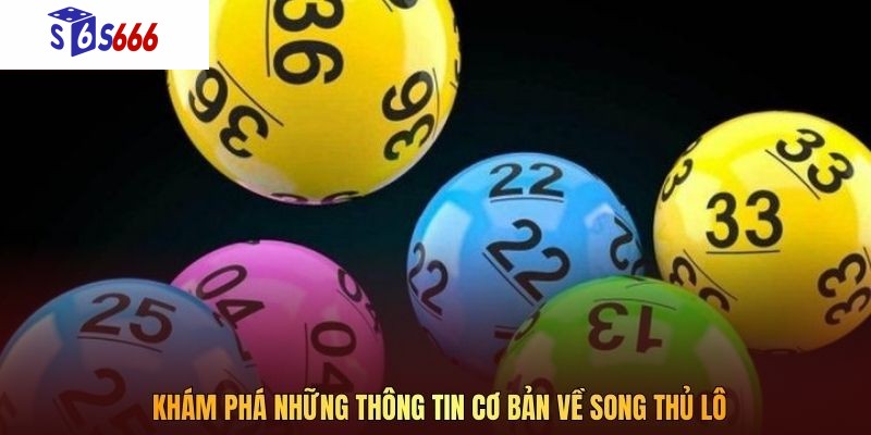 Khám phá những thông tin cơ bản về song thủ lô