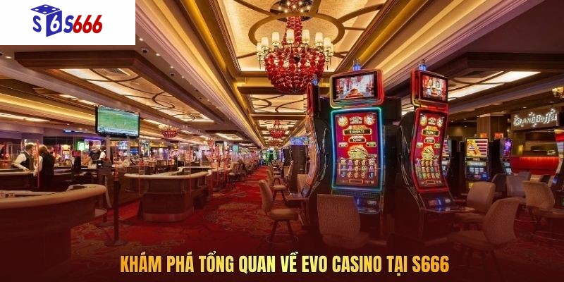 Khám phá tổng quan về EVO Casino tại S666